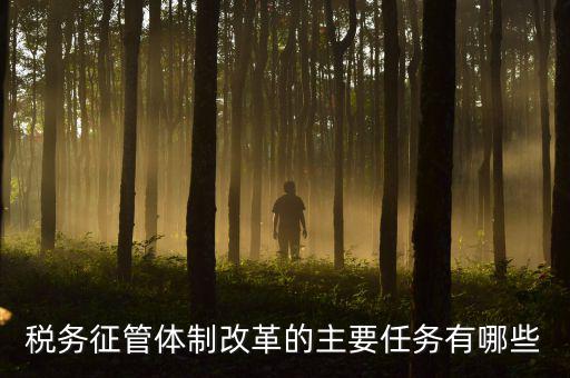 稅務系統(tǒng)的業(yè)務改革都有什么，稅務征管體制改革的主要任務有哪些