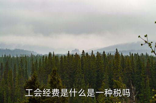 工會(huì)稅是什么，精靈樂(lè)章 工會(huì)抽稅是什么意思要詳細(xì)的