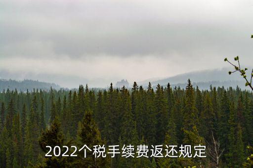 個(gè)稅返手續(xù)費(fèi)什么時(shí)間，退個(gè)稅手續(xù)費(fèi)2022年新規(guī)定