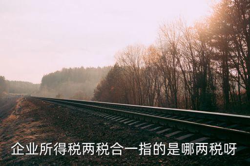 兩稅兩費(fèi)是什么，房地產(chǎn)投資經(jīng)營(yíng)過(guò)程中企業(yè)納稅的兩稅一費(fèi)是指什么