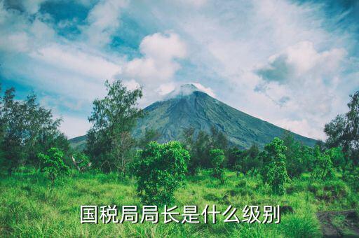 長(zhǎng)春市國(guó)稅局局長(zhǎng)什么級(jí)別，地級(jí)市的國(guó)稅局局長(zhǎng)是什么干部