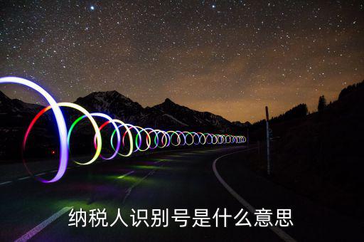 網(wǎng)上申報(bào)納稅人識(shí)別碼是什么，納稅人識(shí)別碼是什么