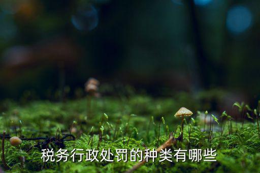涉稅行政處罰包括什么，什么叫稅務(wù)行政處罰當(dāng)事人