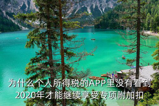 為什么個(gè)人所得稅的APP里沒(méi)有看到2020年才能繼續(xù)享受專項(xiàng)附加扣