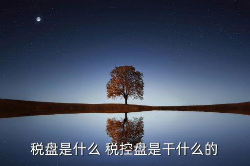 中稅協(xié)安全盤是什么，稅盤是什么 稅控盤是干什么的
