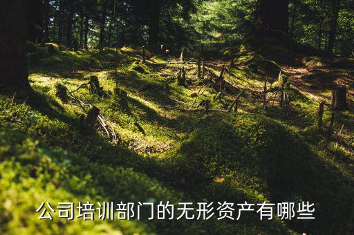 其他權(quán)益性無(wú)形資產(chǎn)是什么，無(wú)形資產(chǎn)屬于什么科目