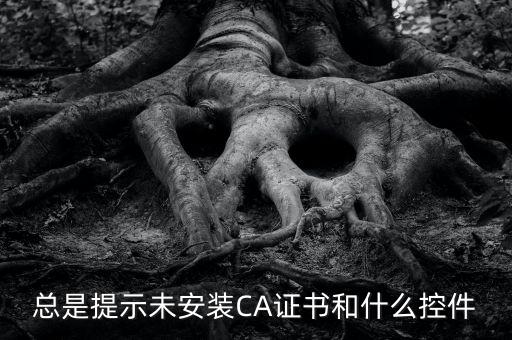 ca控件是什么意思，您是地稅CA用戶但未安裝企業(yè)CA控件為不影響申報(bào)功能正常使用請(qǐng)點(diǎn)