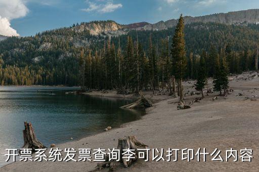 發(fā)票查詢什么內(nèi)容，通過發(fā)票可以查到買了什么東西嗎