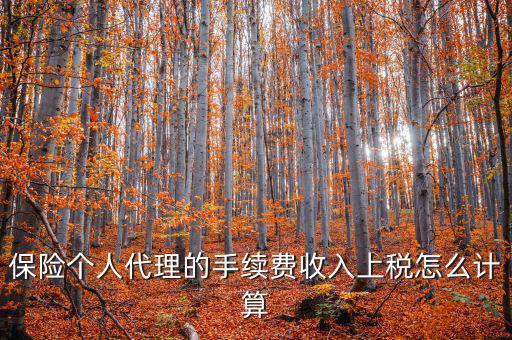 保險代理員交什么稅，請問從車輛保險代理人的提承里扣的稅是什么稅啊