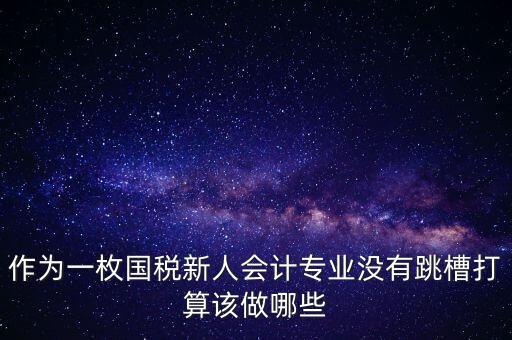 作為一枚國(guó)稅新人會(huì)計(jì)專業(yè)沒(méi)有跳槽打算該做哪些