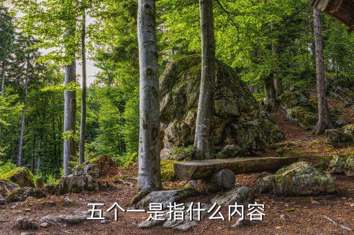 稅務(wù)五個一指什么意思，稅務(wù)指的是什么