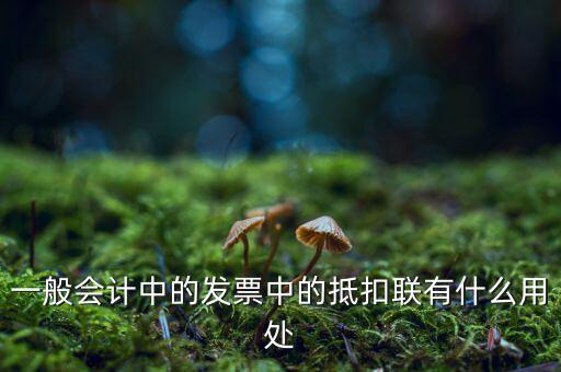 抵扣聯(lián)有什么用，一般會計(jì)中的發(fā)票中的抵扣聯(lián)有什么用處