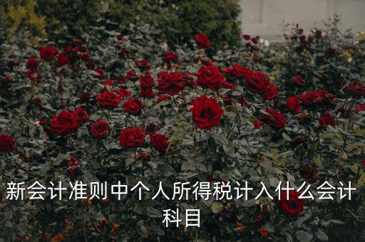 所得稅費(fèi)用什么科目，新會計準(zhǔn)則中個人所得稅計入什么會計科目
