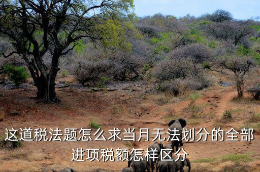 什么叫無法劃分的進(jìn)項(xiàng)稅額，一般納稅人兼營免稅項(xiàng)目或者非增值稅應(yīng)稅勞務(wù)而無法劃分不得抵