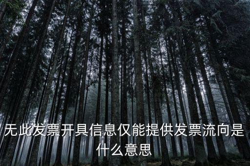 無(wú)此發(fā)票開(kāi)具信息僅能提供發(fā)票流向是什么意思
