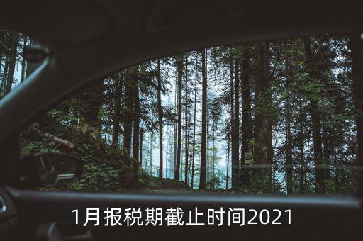 1月份地稅什么時候申報，報稅一般都是每個月什么時候報稅