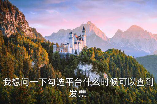 我想問一下勾選平臺什么時(shí)候可以查到發(fā)票