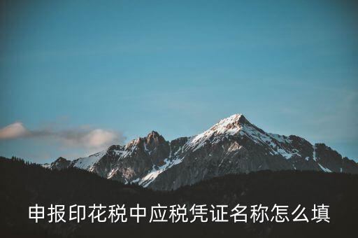 印花稅應(yīng)稅憑證名稱是什么，申報(bào)印花稅中應(yīng)稅憑證名稱怎么填