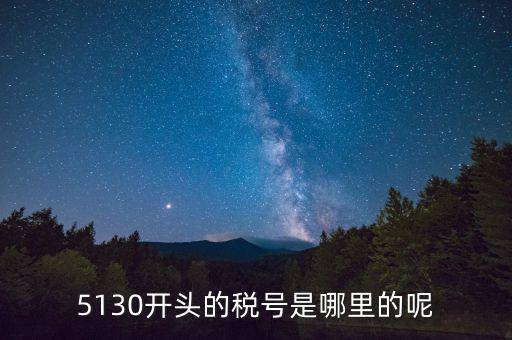 四川一般納稅人稅號(hào)以什么開(kāi)頭，5130開(kāi)頭的稅號(hào)是哪里的呢