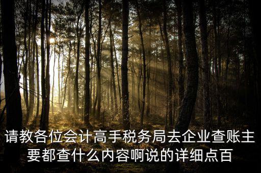 請(qǐng)教各位會(huì)計(jì)高手稅務(wù)局去企業(yè)查賬主要都查什么內(nèi)容啊說的詳細(xì)點(diǎn)百
