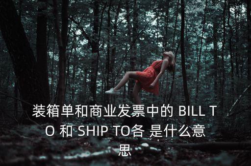 發(fā)票中b o是什么意思，在形式發(fā)票中Merrs是什么意思啊