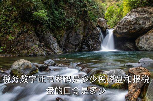 國稅開票軟件的稅務(wù)證書密碼是什么，稅務(wù)數(shù)字證書密碼是多少稅控盤和報稅盤的口令是多少
