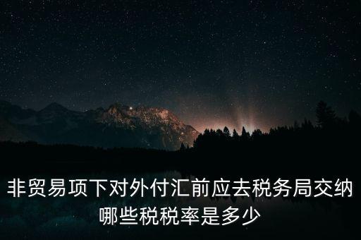非貿(mào)易項(xiàng)下對外付匯前應(yīng)去稅務(wù)局交納哪些稅稅率是多少