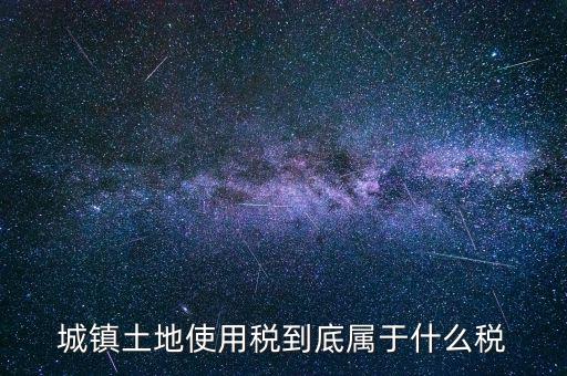 城鎮(zhèn)土地使用稅屬于什么稅種，城鎮(zhèn)土地使用稅到底屬于什么稅