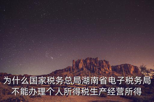 為什么國家稅務總局湖南省電子稅務局不能辦理個人所得稅生產經營所得