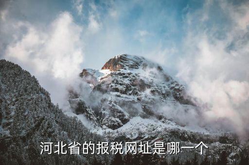 河北稅務官網(wǎng)是什么，怎么打開河北省國稅網(wǎng)站