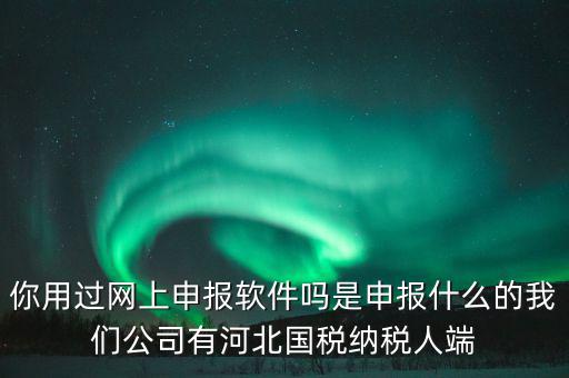 企業(yè)申報客戶端是什么，你用過網(wǎng)上申報軟件嗎是申報什么的我們公司有河北國稅納稅人端