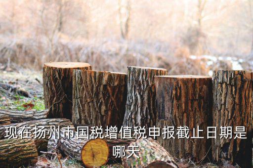 揚州10月稅務(wù)申報什么時候，個人所得稅10月份申報期限是多少