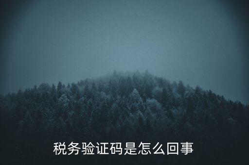 稅務(wù)驗證碼是怎么回事