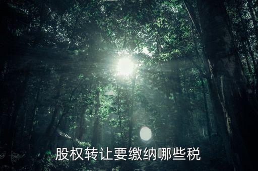 公司轉(zhuǎn)讓股權(quán)交什么稅，股權(quán)轉(zhuǎn)讓要繳納哪些稅