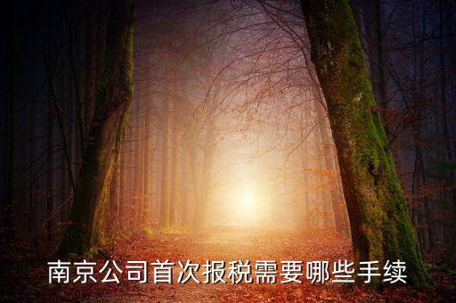 南京什么公司在地稅局交稅，哪些稅在國稅局交哪些在地稅局交