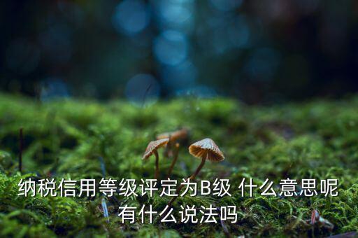 國稅b級信用是什么意思，納稅信用等級評定為B級 什么意思呢有什么說法嗎