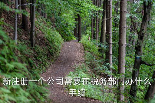 新辦企業(yè)需要到地稅辦理什么手續(xù)費(fèi)，新注冊(cè)一個(gè)公司需要在稅務(wù)部門(mén)辦什么手續(xù)