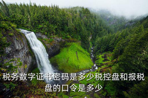 寧波國(guó)稅安裝證書(shū)密碼是什么意思，企業(yè)國(guó)稅賬戶密碼指什么意思