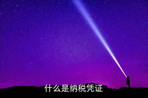 有稅款是什么憑證，納稅憑證包括哪些