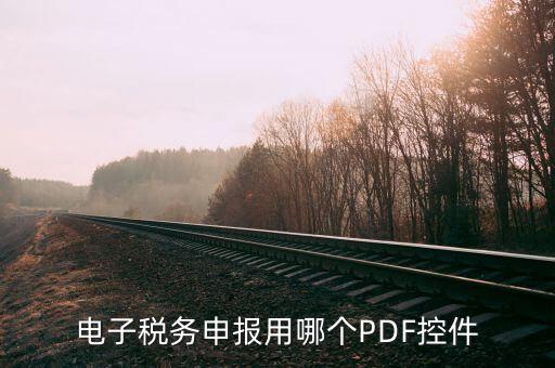 電子稅務(wù)申報用哪個PDF控件