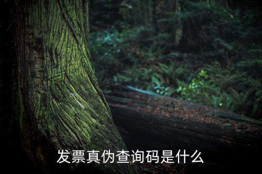 網(wǎng)絡發(fā)票查詢號是什么，發(fā)票真?zhèn)尾樵兇a是什么