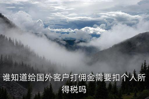 收到境外傭金交什么稅，關(guān)于國(guó)外支付國(guó)內(nèi)傭金方面的稅務(wù)問(wèn)題