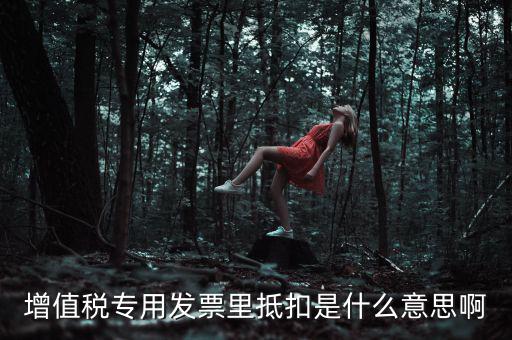 抵扣票是什么意思，增值稅專用發(fā)票里抵扣是什么意思啊