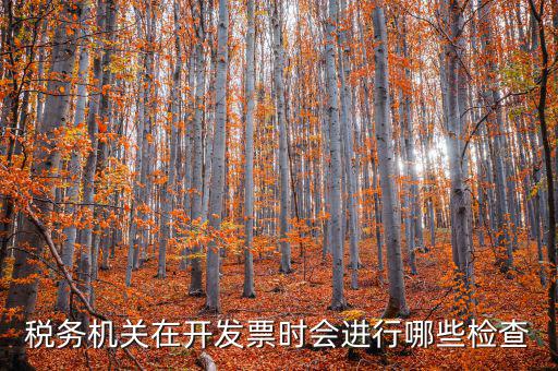 稅務(wù)機關(guān)在開發(fā)票時會進行哪些檢查