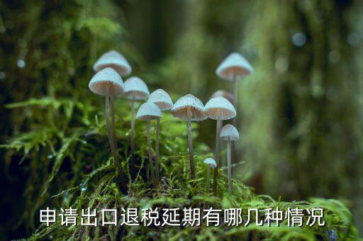 出口退稅申報(bào)延期需要什么，如何辦理出口退稅延期申報(bào)的申請(qǐng)和審批