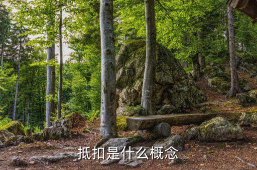 什么叫成本抵扣，一般納稅人進(jìn)項(xiàng)稅入成本和抵扣有什么區(qū)別