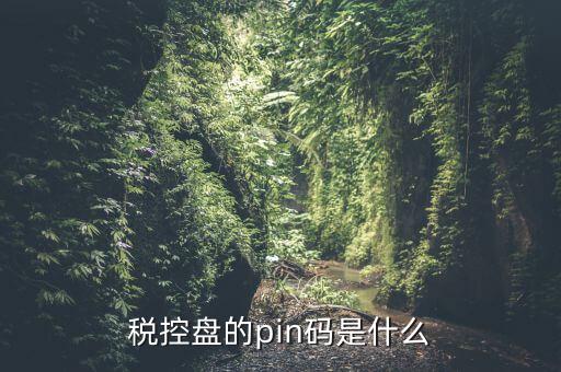 報(bào)稅pin口令是什么，稅控盤(pán)的pin碼是什么