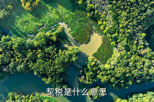 契稅申報(bào)什么意思，契稅申報(bào)和申領(lǐng)的區(qū)別