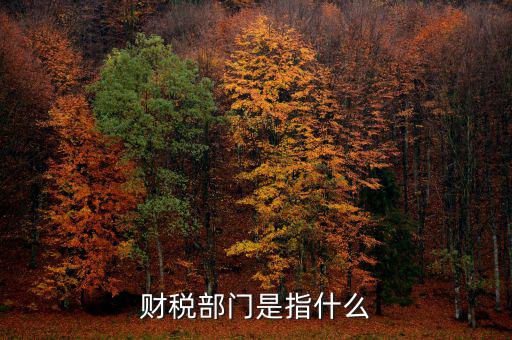 財稅征收保障網是什么，財稅部門是指什么