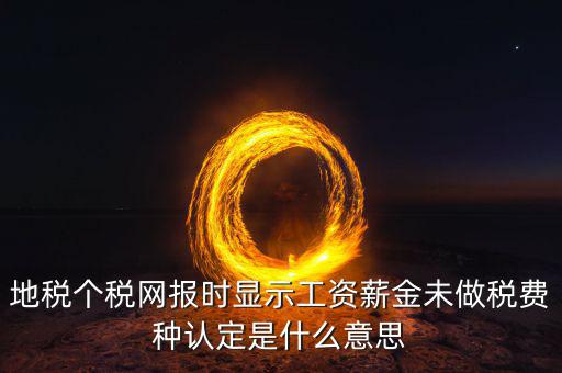 地稅個稅網報時顯示工資薪金未做稅費種認定是什么意思